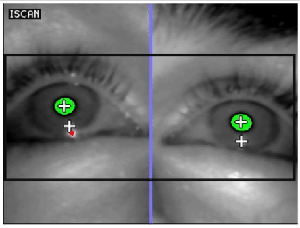 Manuel Jose Marte animated