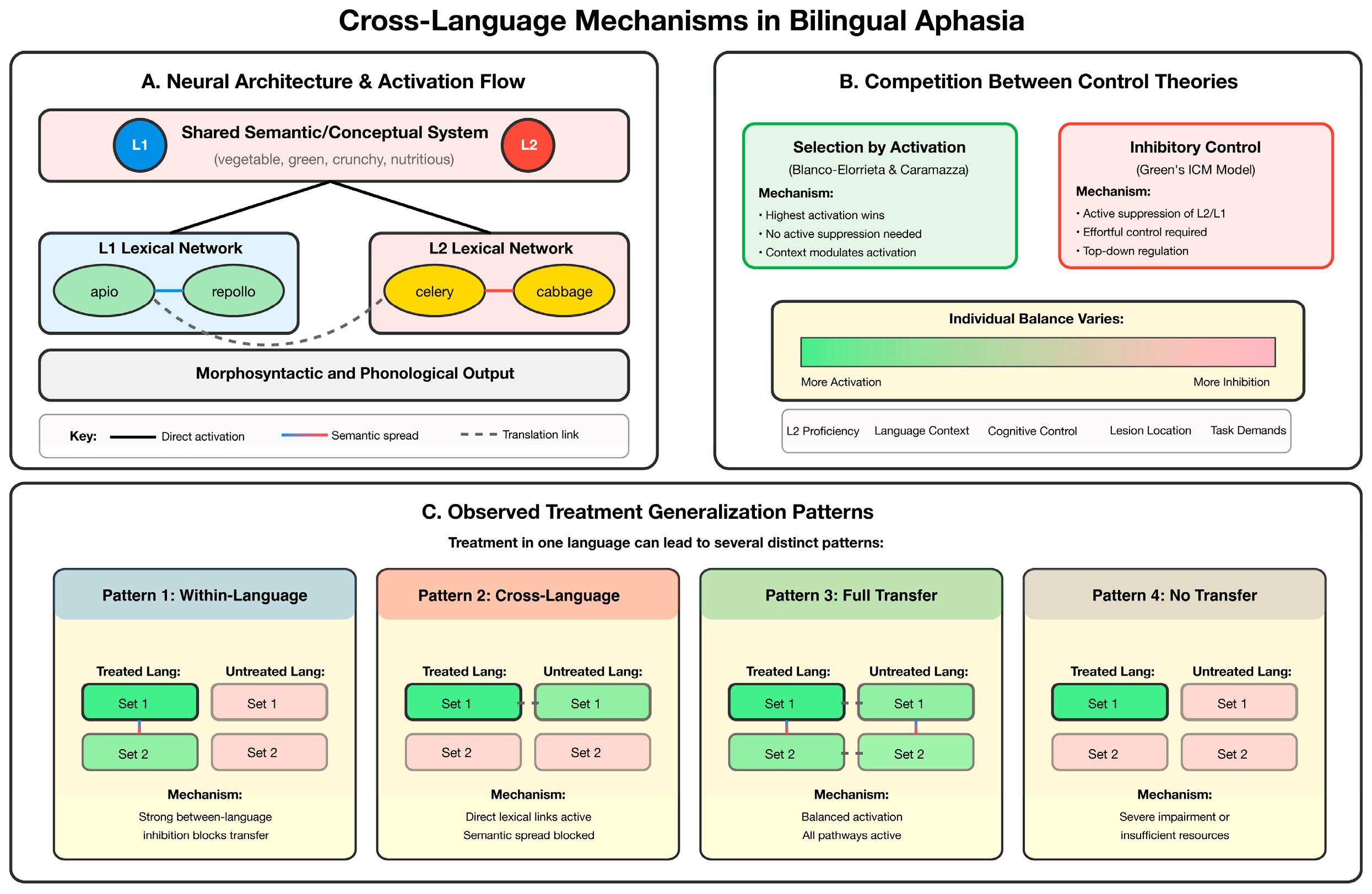 Cross-language mechanisms in bilingual aphasia